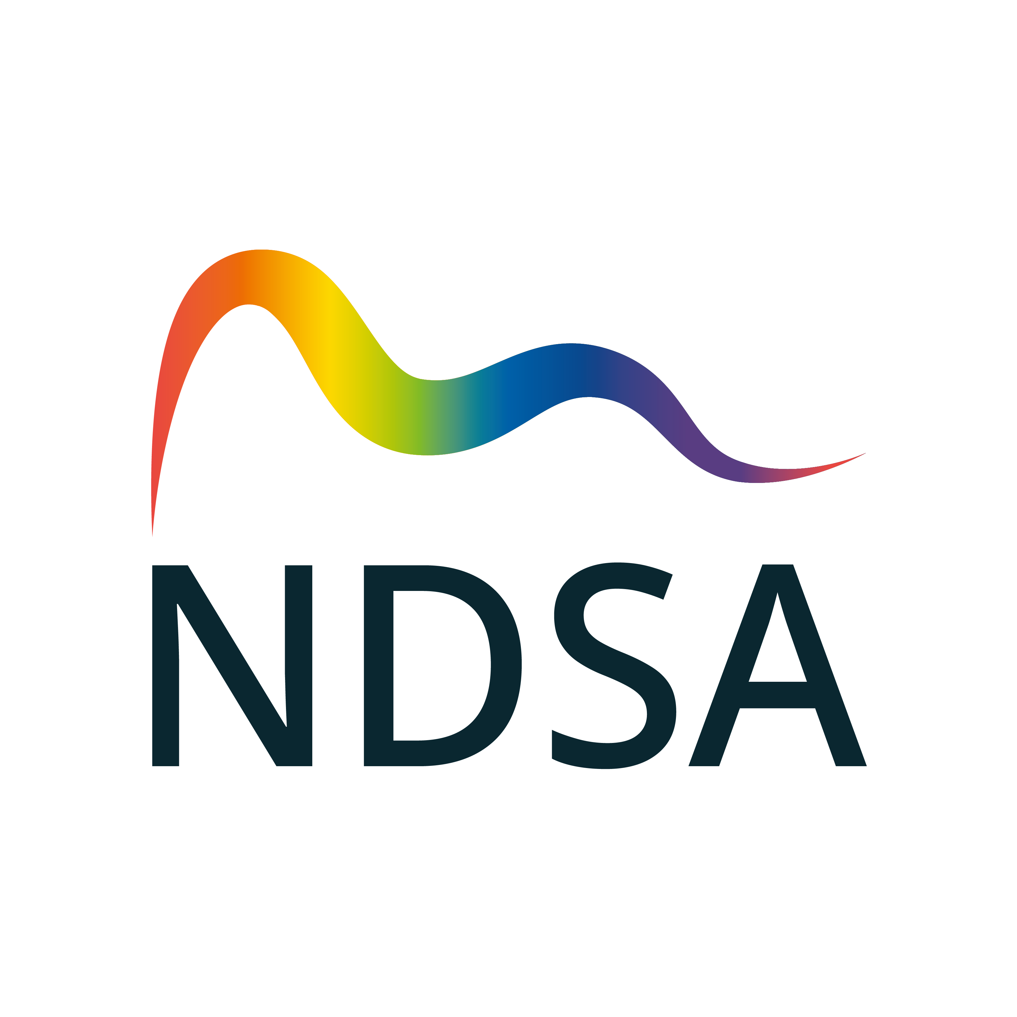 NDSA logo with a rainbow wave above the organisation’s initials